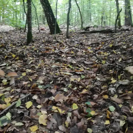 Деревянный коттедж Letniskowy Nad Jeziorem *